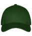 Classic Cap Bottele gree no size - Suomen Brodeeraus