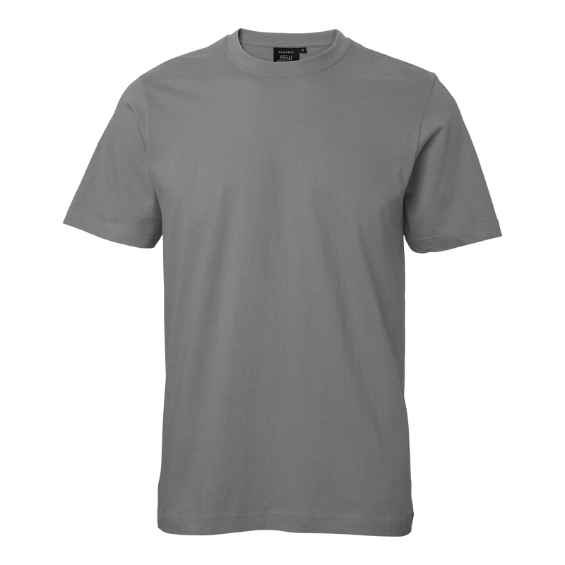 Kings T-shirt Grey - Suomen Brodeeraus