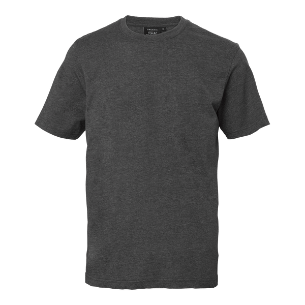 Kings T-shirt Grey - Suomen Brodeeraus