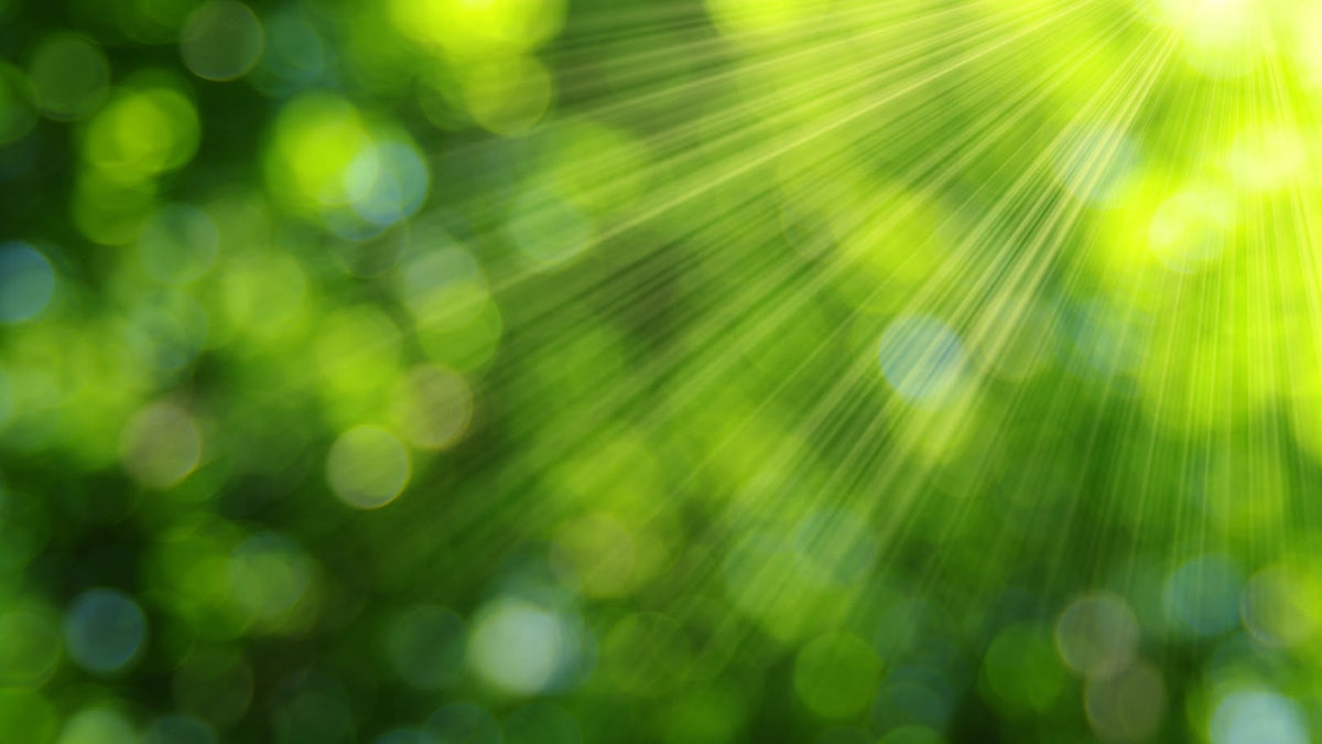 Laadukkaasti ja kestävästi