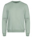 Miami Roundneck Sage Green - Suomen Brodeeraus