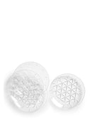 Picnic lautanen 20 cm, 4 kpl - Suomen Brodeeraus